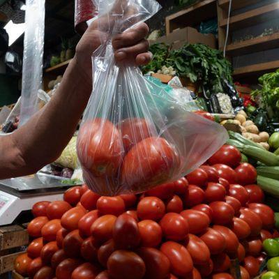 Profeco destaca caída del 41% en costo del jitomate; este es el motivo