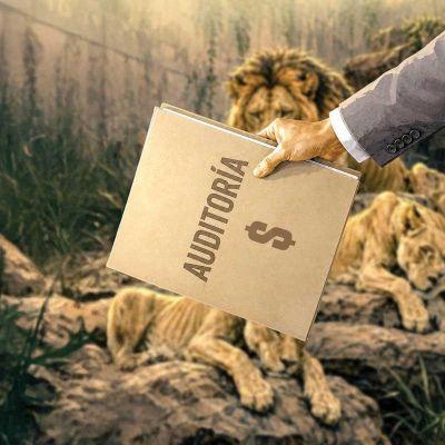 En el limbo, recursos para zoológicos de CDMX; auditoría impide conocer distribución