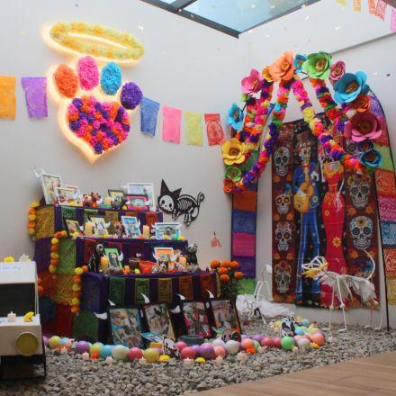 Ofrendas para mascotas en Día de Muertos