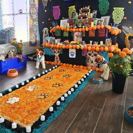 Ofrendas para mascotas en Día de Muertos