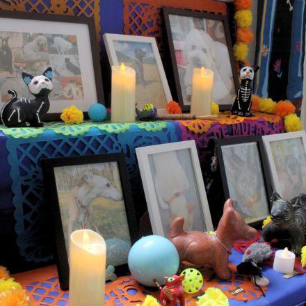 Ofrendas para mascotas en Día de Muertos