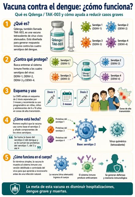 Cómo funcionan las vacunas contra el dengue