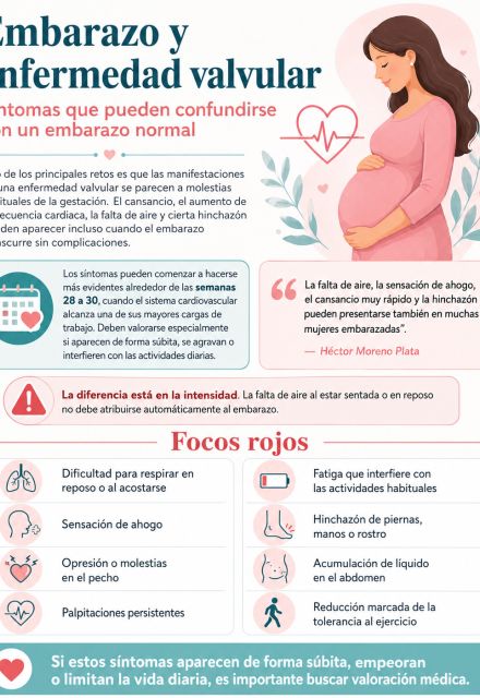 Infografía de mujeres embarazada