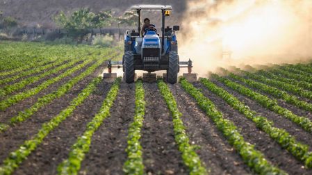 Precio de alimentos retroceden en todo el mundo; la FAO advierte riesgos por El Niño
