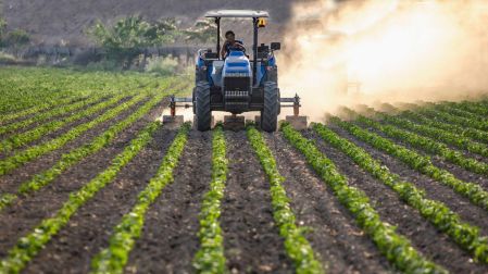 FAO advierte que el mundo está por enfrentar otro episodio de inflación alimentaria