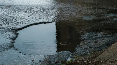bache