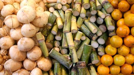 Agroexportaciones en T-MEC: El CNA solicita eliminar propuesta de temporalidad