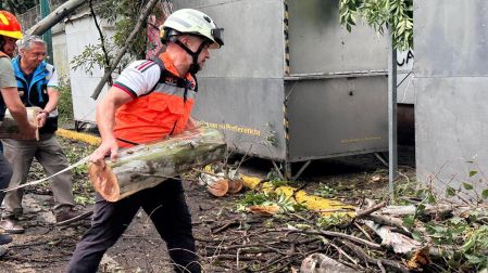Recolección de árboles caídos y residuos vegetales en la alcaldía Miguel Hidalgo