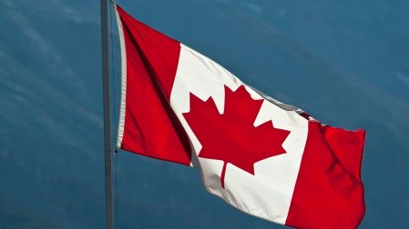 Canadá impone aranceles del 10% a vegetales en conserva: ¿afecta a México y EU?