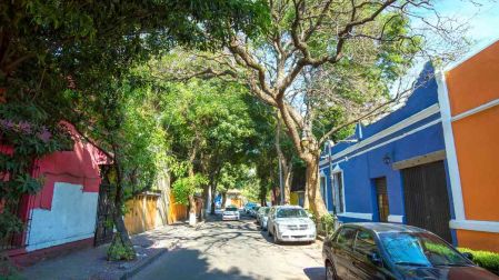 ¿Qué hacer en Coyoacán?