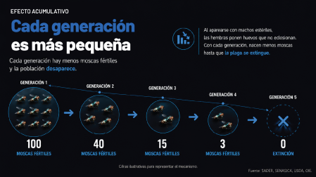 La técnica de la mosca estéril ha sido eficaz contra el gusano barrenador.