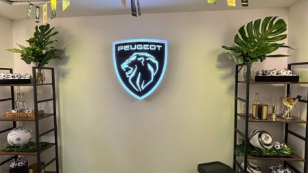 Stellar Soccer House