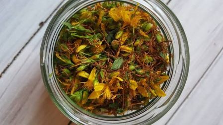 La hierba de San Juan interactúa con muchos medicamentos