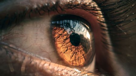 Ojos