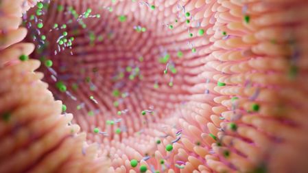 ¿Qué son los probióticos naturales y para qué sirven en el estómago?