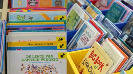 Los libros pueden ser tus aliados