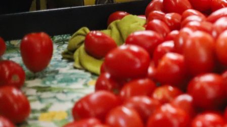 Costo de la Canasta Alimentaria supera los 2,500 pesos; jitomate y papa lideran alzas.