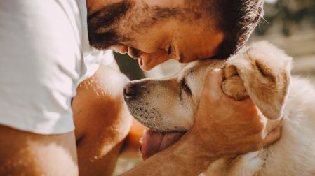 Cómo despedirse de un perro_La importancia de un adiós digno y cómo afrontar el duelo