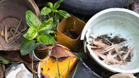 Cómo eliminar los criaderos de mosquitos del dengue en casa