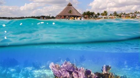 Los turistas de EU pierden interés en México: ¿a dónde prefieren viajar?
