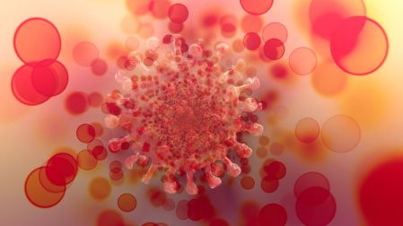 Cuáles son los tipos de hepatitis síntomas y diferencias