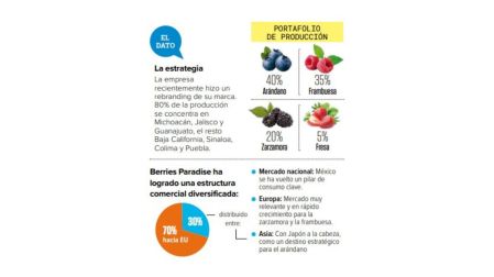 En pleno boom de los frutos rojos, Berries Paradise planea producir en Perú y EU.