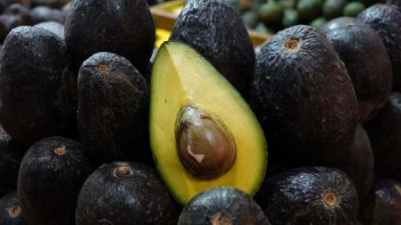 EU suspende importaciones de aguacate de Michoacán por alerta de seguridad.