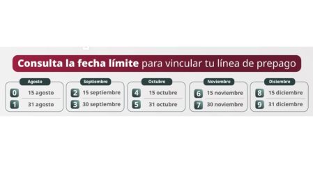 Registro de celulares: estas líneas serán suspendidas desde el 18 de agosto.