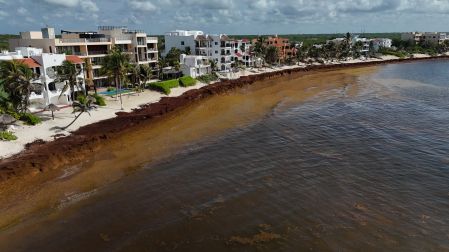 Llegada de sargazo a Quintana Roo