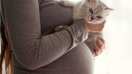 Cómo se contagia la toxoplasmosis en el embarazo Los gatos no son el principal riesgo_1