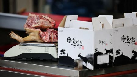 Corea del Sur prohíbe la venta de carne de perro: impactará a más de 5 mil negocios.