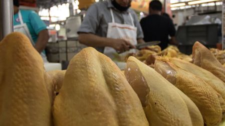Importaciones de pollo brasileño amenazan empleos e inversiones en México, alerta la UNA.