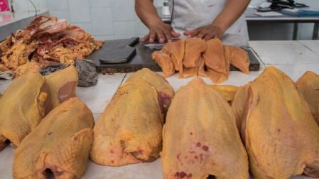 Importaciones de pollo brasileño amenazan empleos e inversiones en México, alerta la UNA.