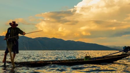 Japón y México acuerdan aumentar 25% la pesca de atún rojo en el Pacífico.