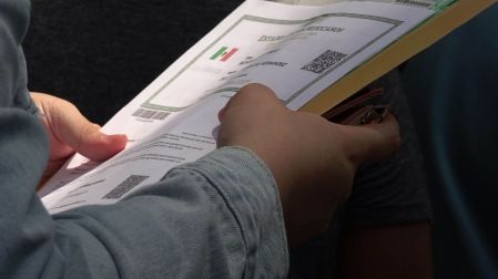 La CURP certificada puede descargarse gratis desde el portal de Gob.mx.