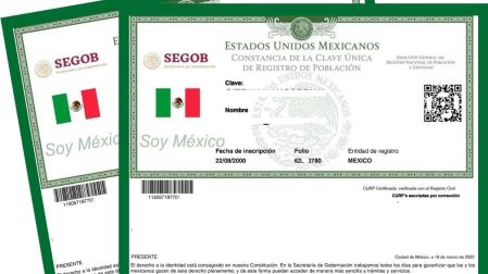 Gob.mx permite consultar la CURP con datos personales.