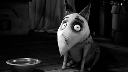 Mediante stop motion cuenta la historia de un niño que desafía las leyes de la naturaleza para devolverle la vida a su querido perro.