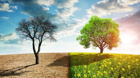 Bonos de carbono: el modelo que acelera el calentamiento global.