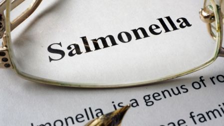 ¿Qué es la salmonella y cuáles son sus síntomas?