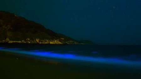 Es importante no confundir bioluminiscencia con calidad sanitaria del agua.