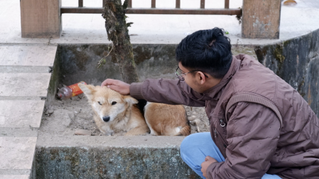 Lo recaudado por multas se usará en esterilizaciones gratuitas y refugios públicos.