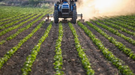 Cae producción de granos y frutos; clima afecta a 6 de cada 10 unidades.