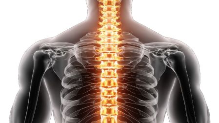 Enfermedades de la columna vertebral: principales padecimientos y sus síntomas de alerta