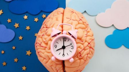 Cuáles son los hábitos que envejecen el cerebro según la ciencia