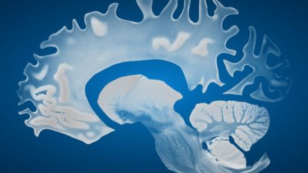 Cuáles son los hábitos que envejecen el cerebro según la ciencia
