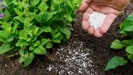 Banco Mundial alerta: precios de los alimentos subirán 18% entre 2026 y 2027.