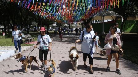 La administración de la alcaldía Cuauhtémoc decidió participar en la recopilación de elementos para evitar que estos ataques queden impunes.