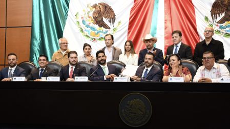 Aureliano Hernández Palacios Cardel, titular de la ASF, en la Cámara de Diputados