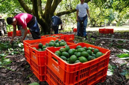 EU reanuda sus actividades en Michoacán: "La cooperación da resultados".