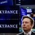 Fusión entre Paramount y Warner Bros: Elon Musk invierte 1,000 mdd en Skydance.